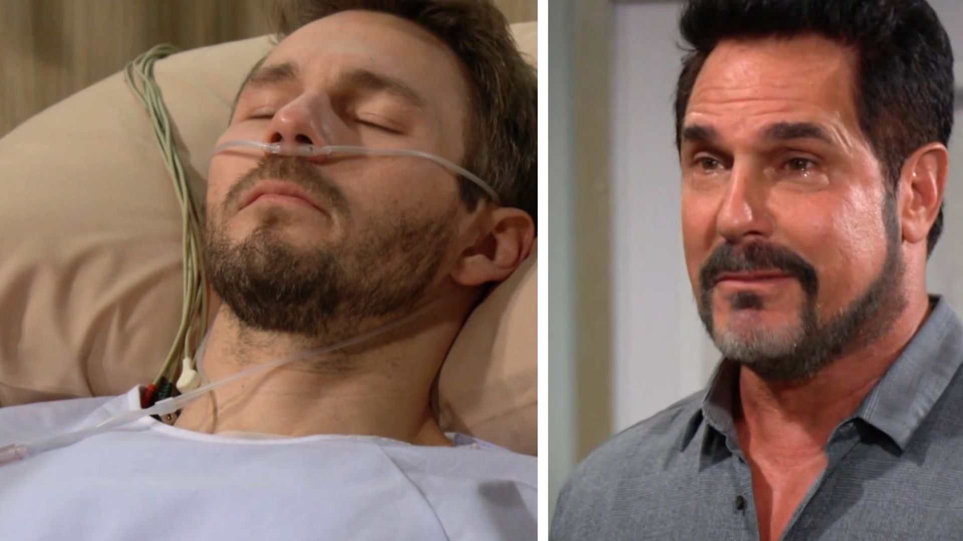 The Bold and the Beautiful