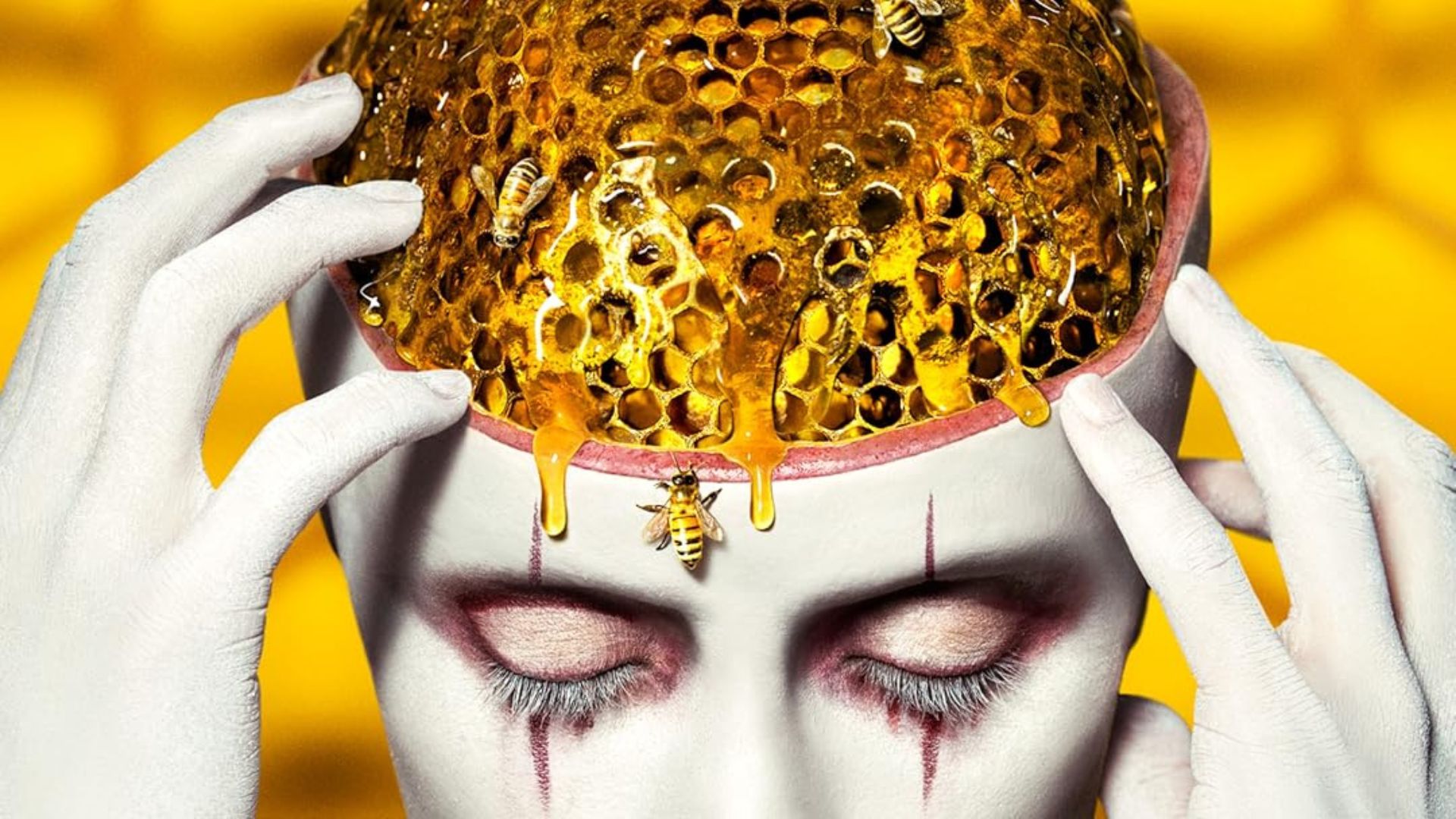 American Horror Story 
