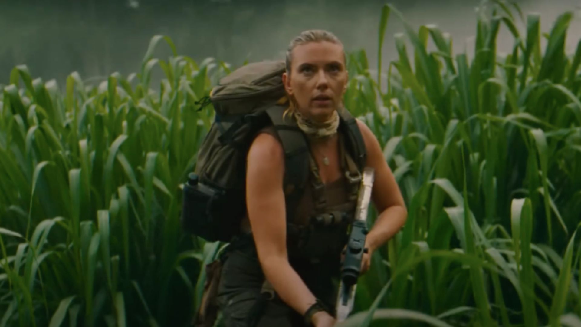 A still from 