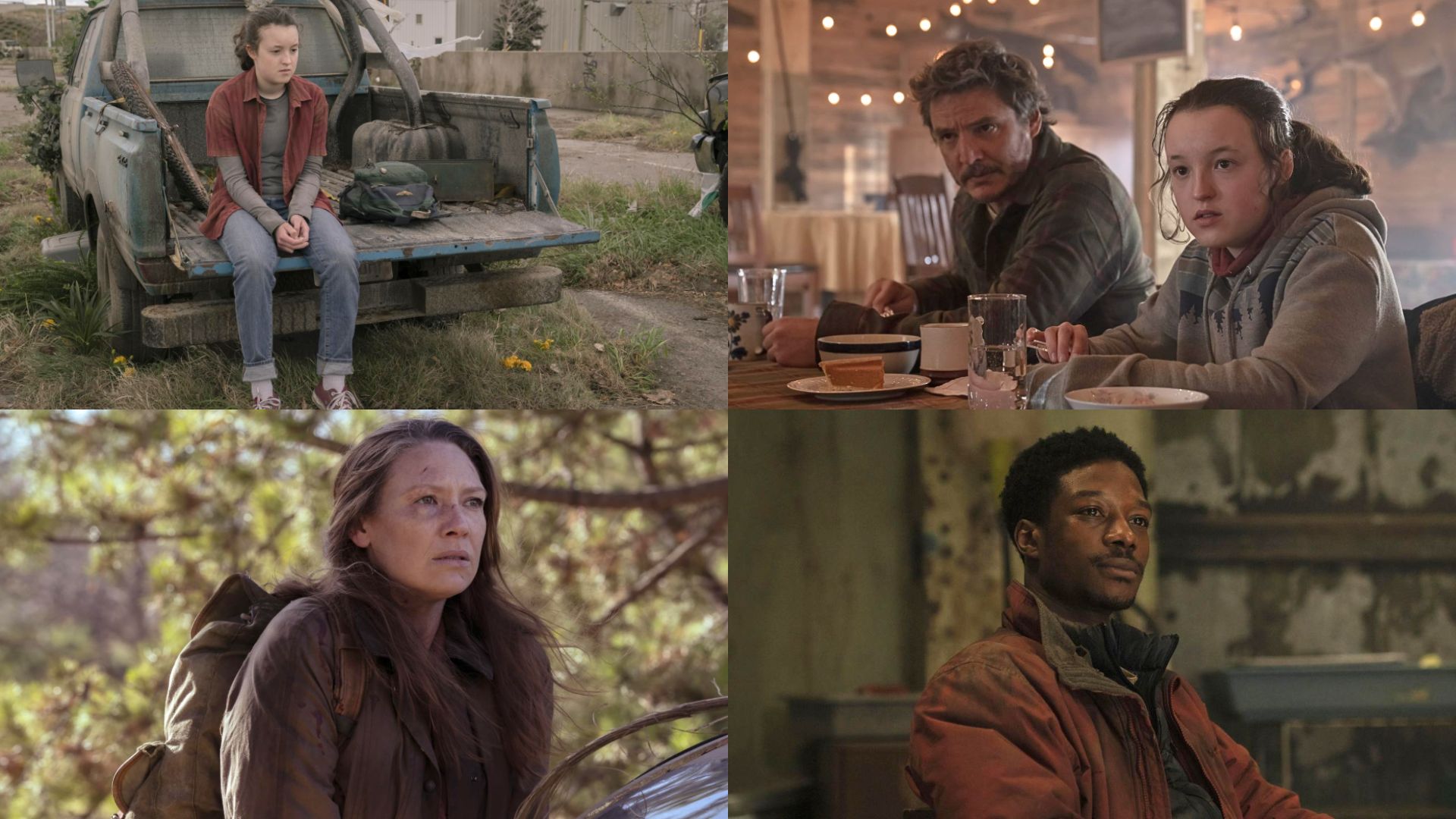 Best episodes from The Last of Us | Images via HBO and Hotstar