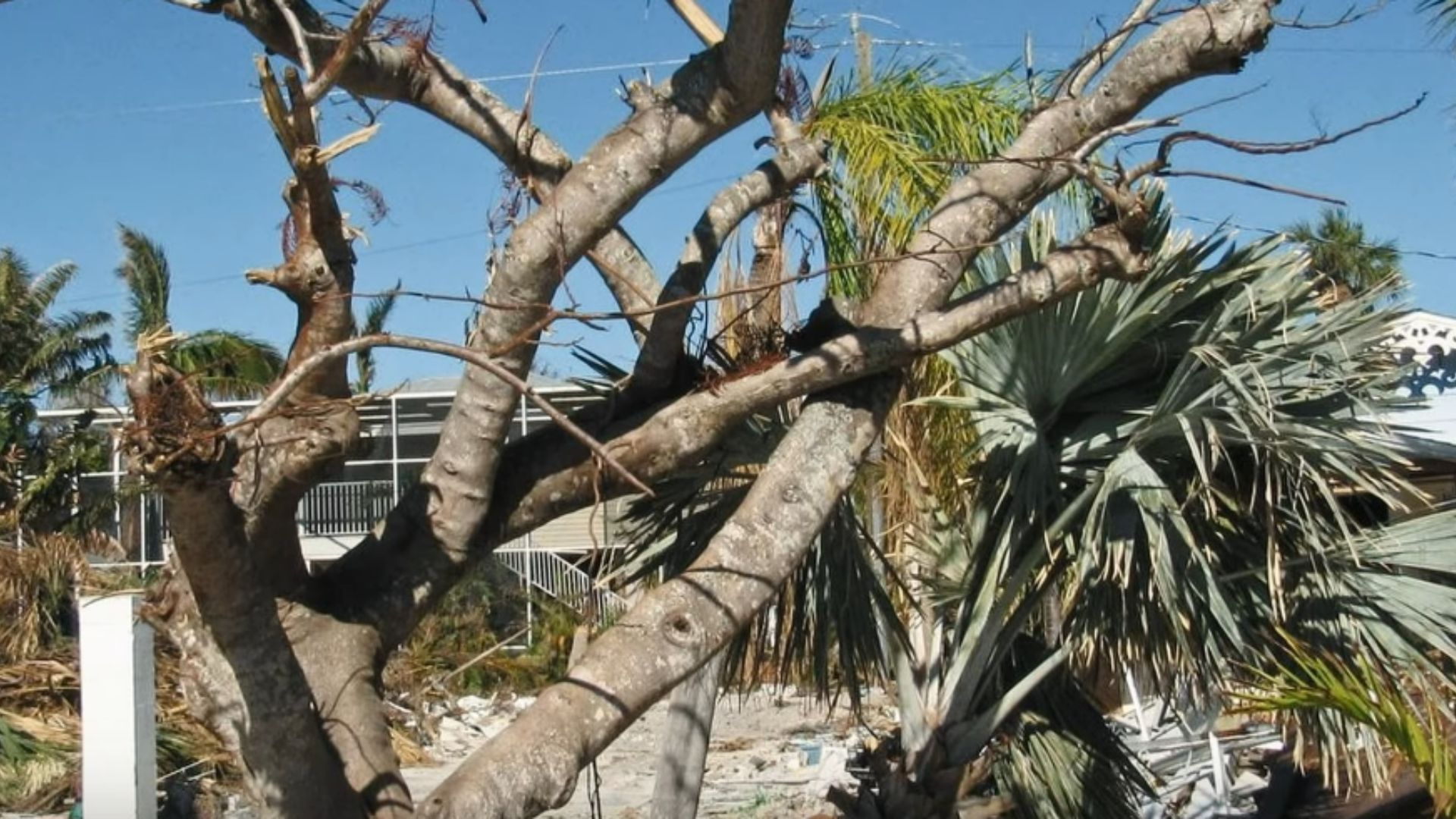 A still from the Trailer of Survival Mode Episode 3 (Image Via. Dateline NBC, YouTube)