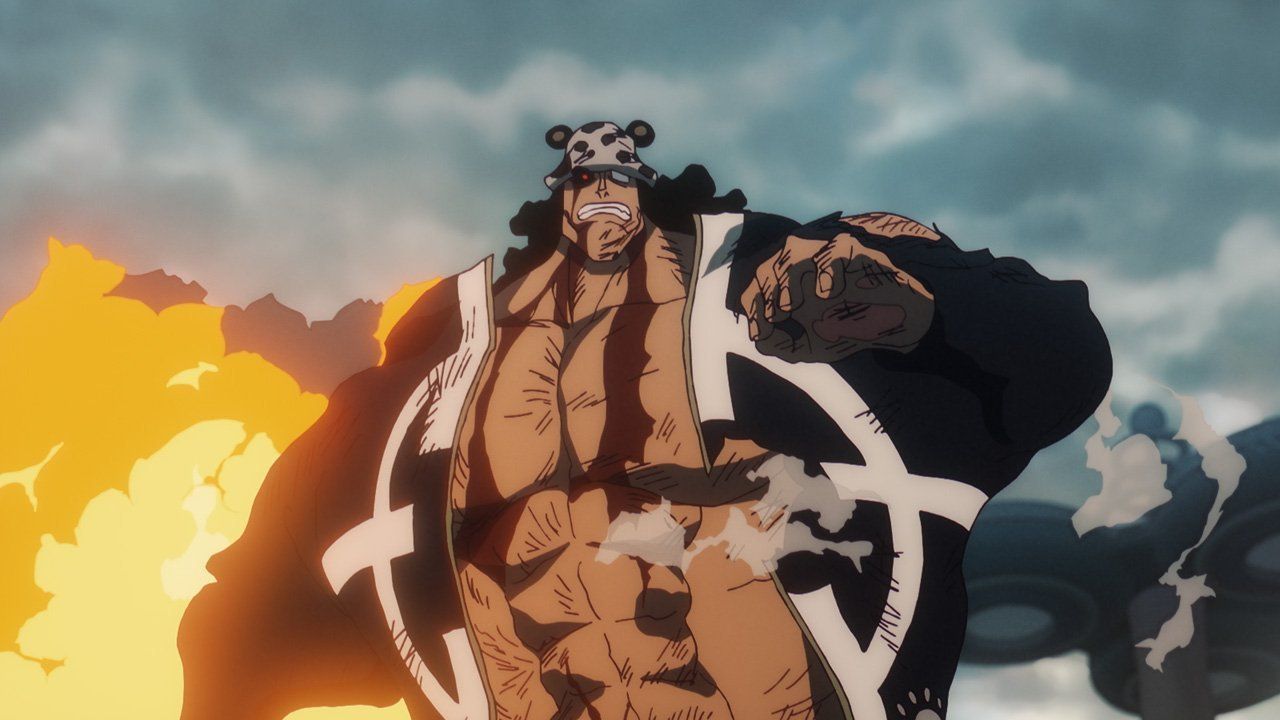 Kuma as seen in anime