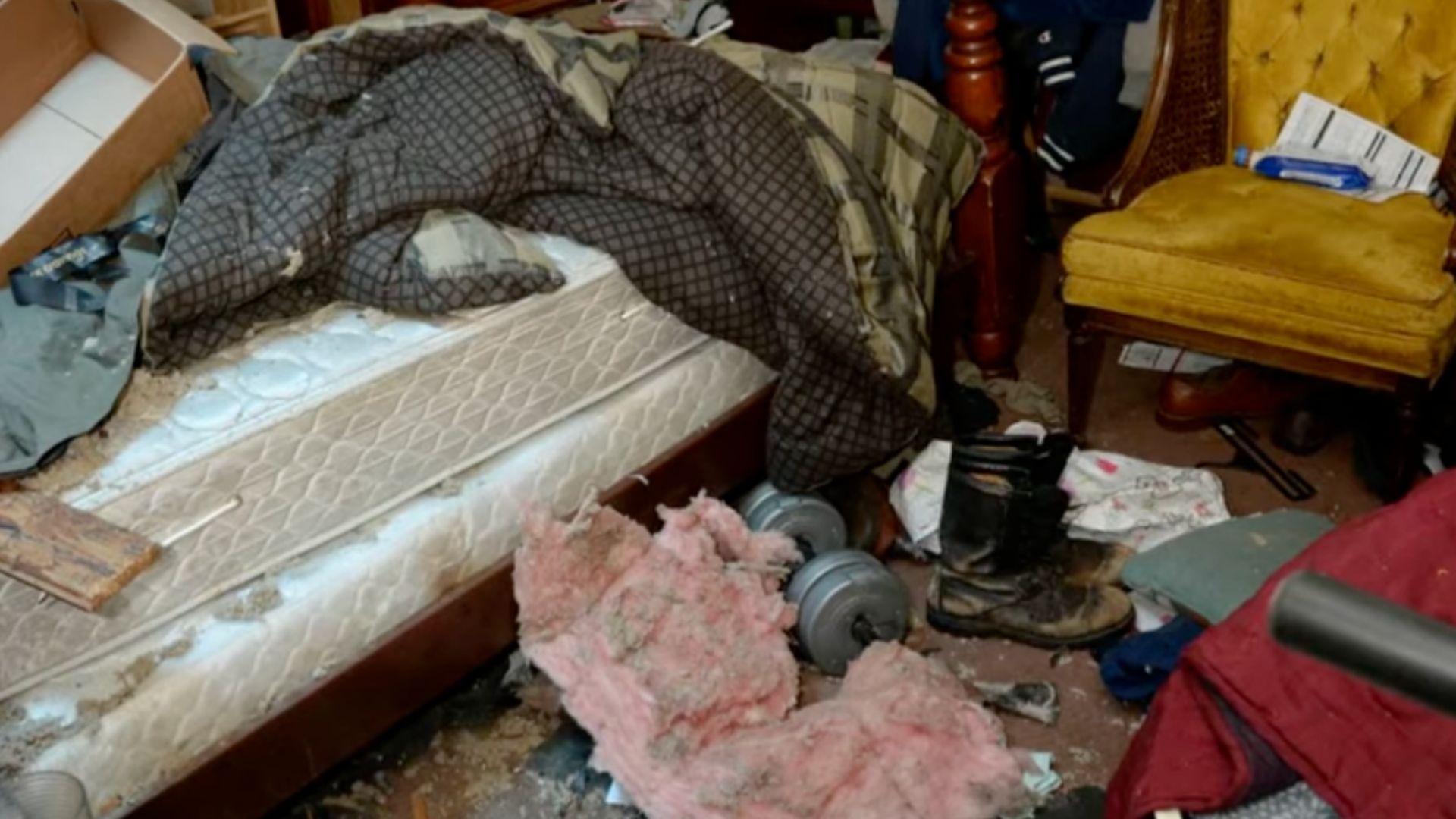 Cassandra Creech of The Bold and the Beautiful sets up GoFundMe| Image: YouTube