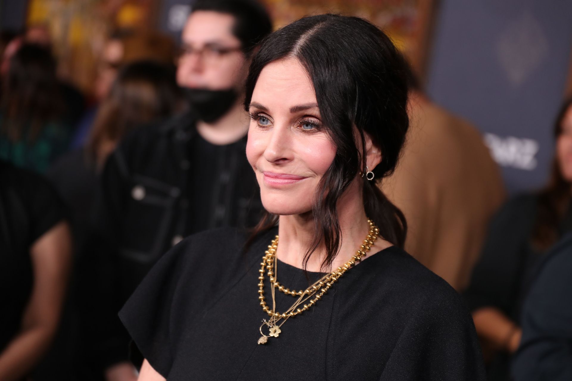 Premiere Of STARZ &quot;Shining Vale&quot; - Red Carpet - Source: Getty