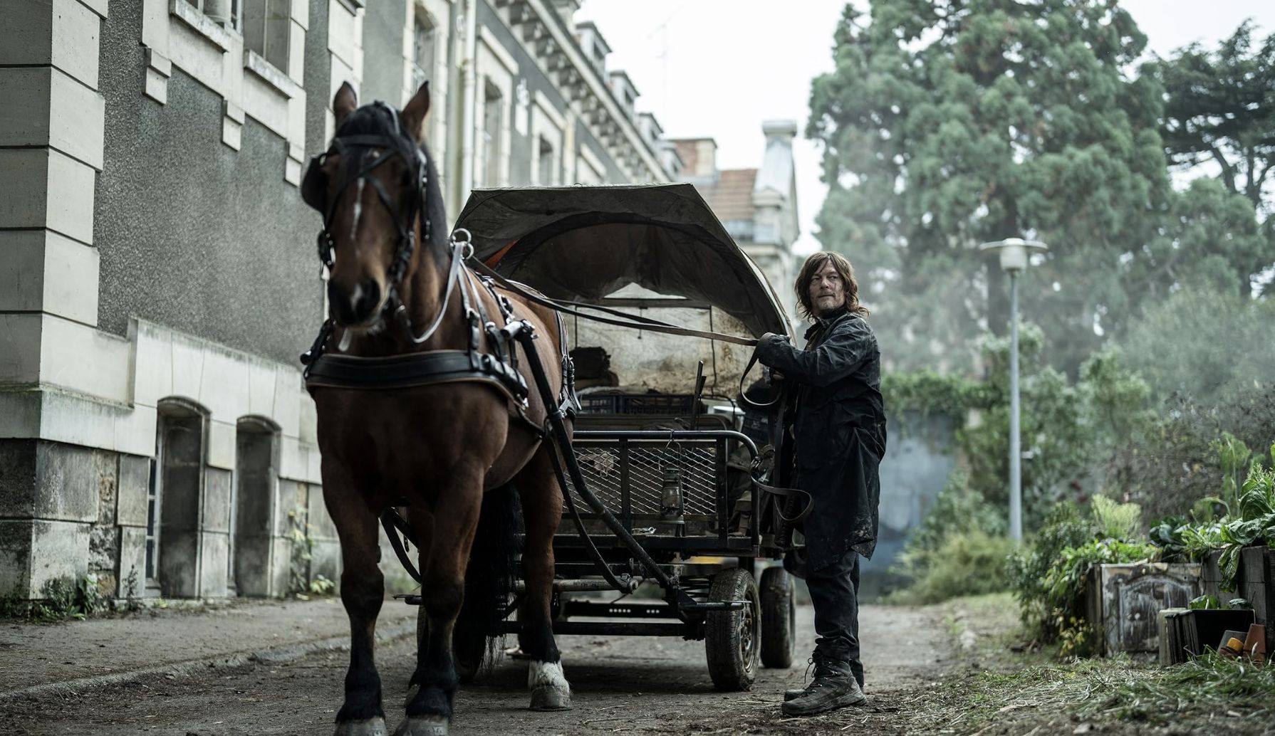 The Walking Dead: Daryl Dixon Season 4 (Image via AMC)