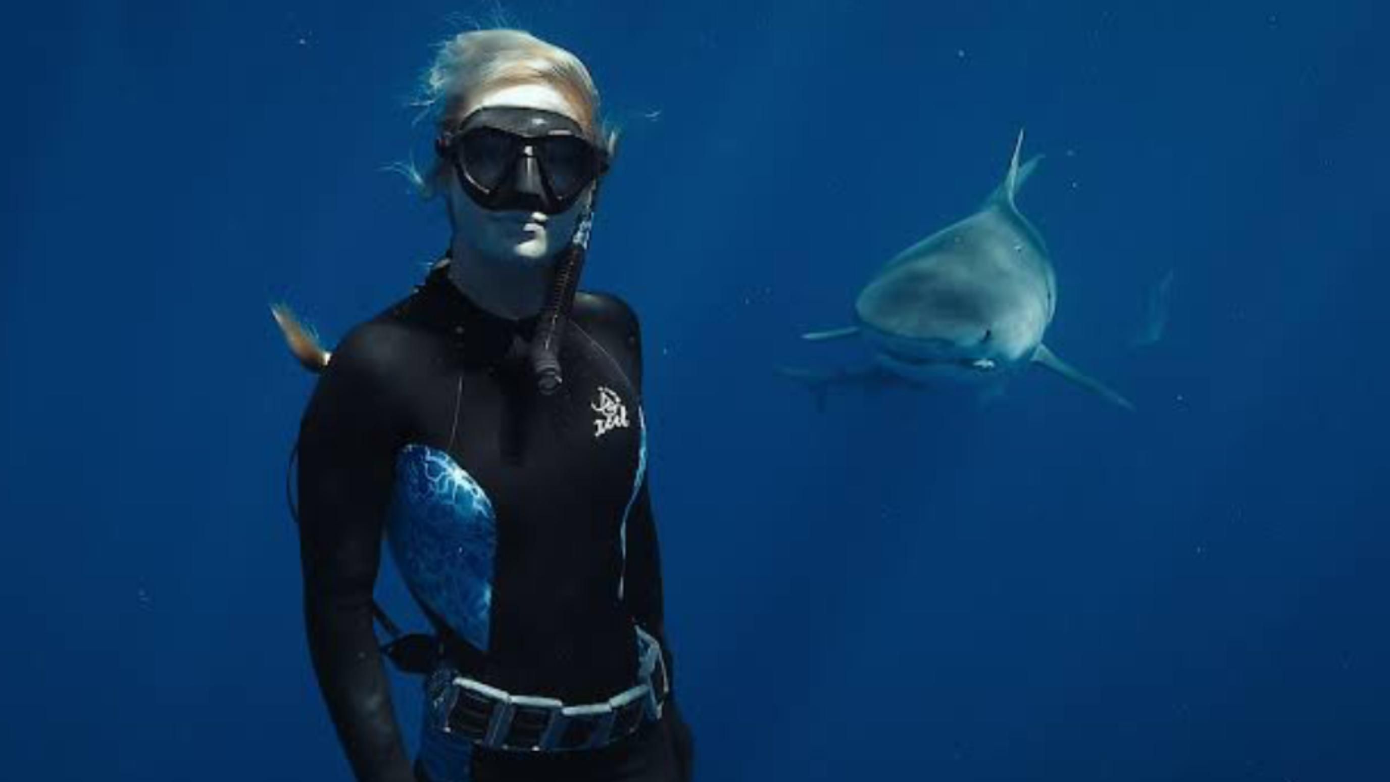 Shark Whisperer (2025) | Image via: ABC News Studios