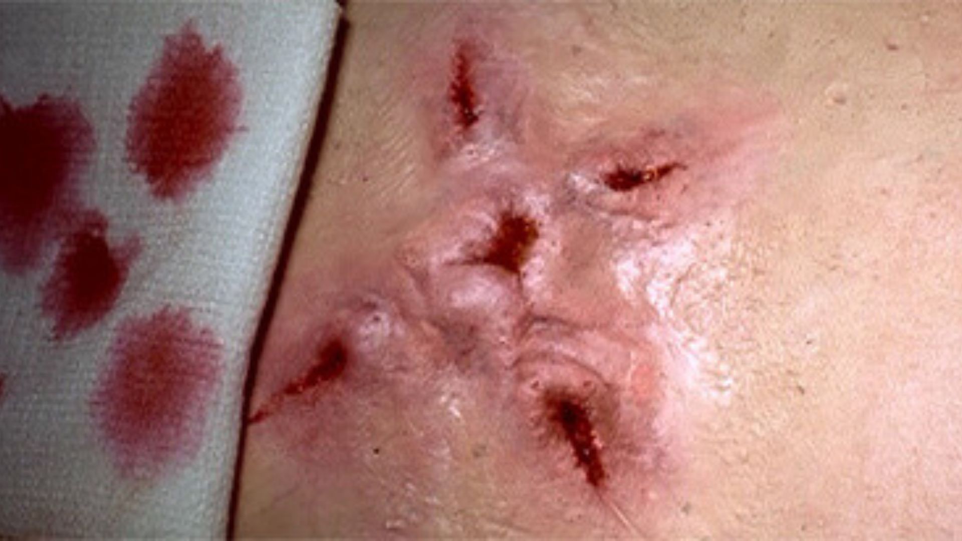 A still from The X-Files (Image via Amazon Prime Video)