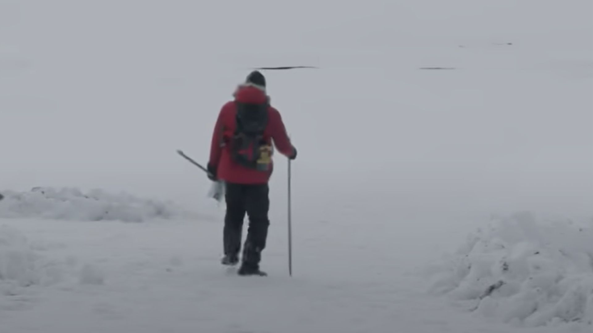 A still from Arctic | Image via Bleecker Street