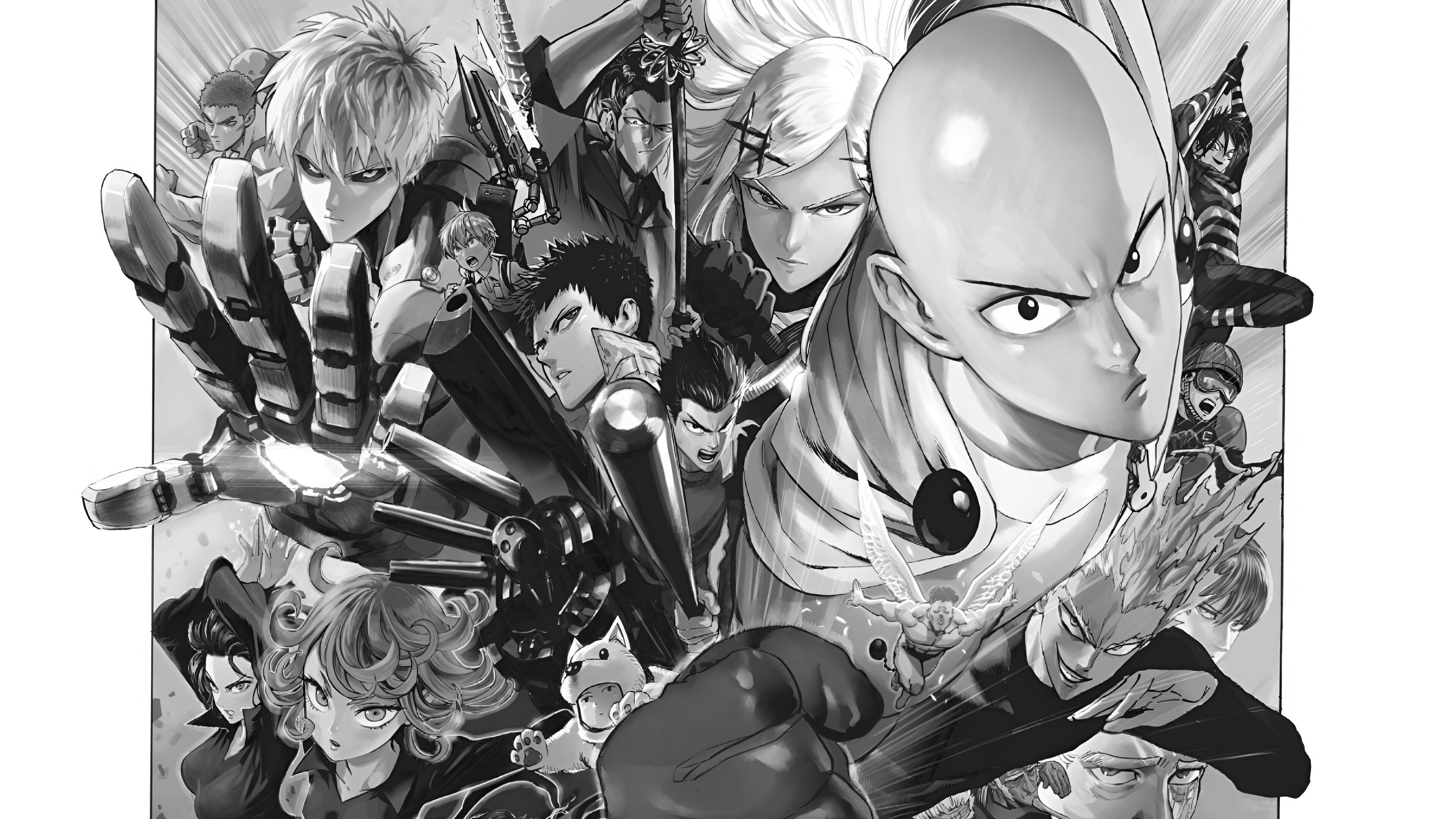 A cover image from One Punch Man Manga