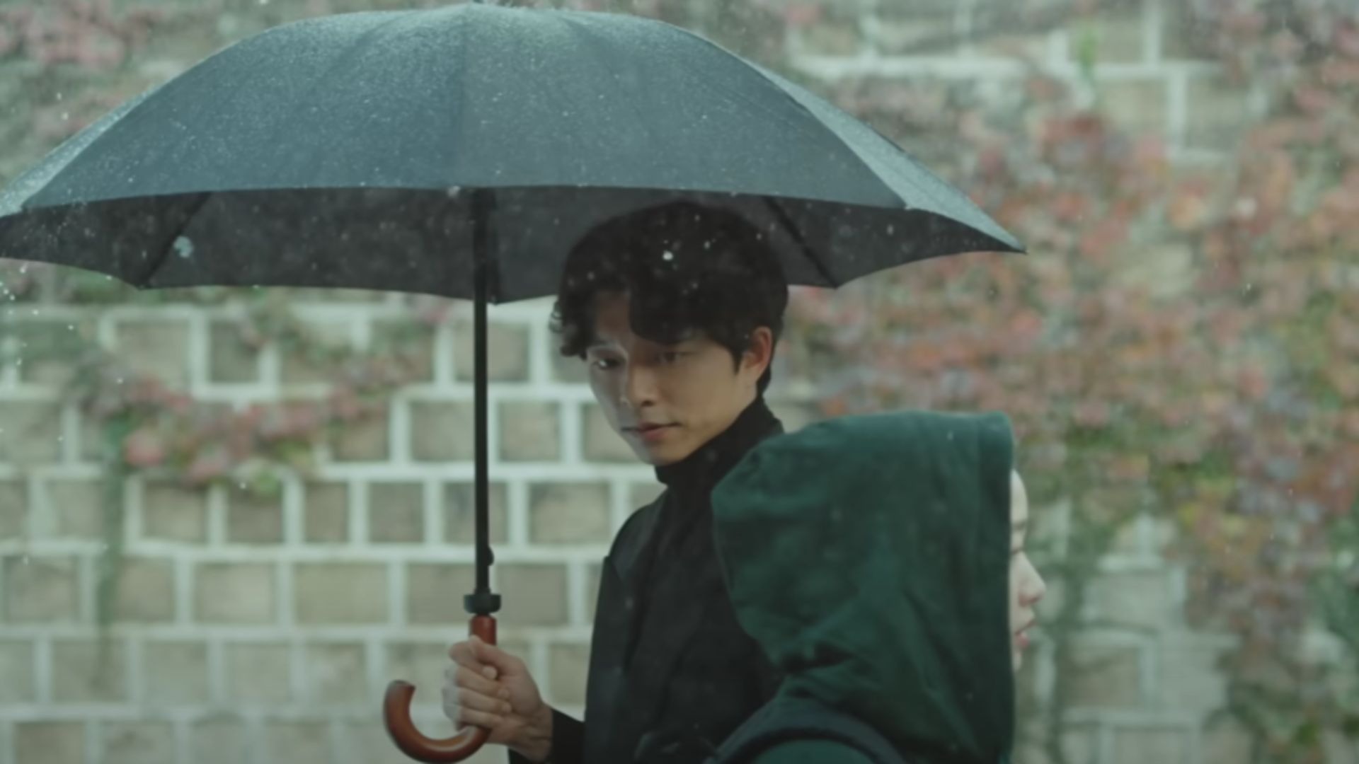 Goblin | Image Via: Hwa&amp;Dam Pictures