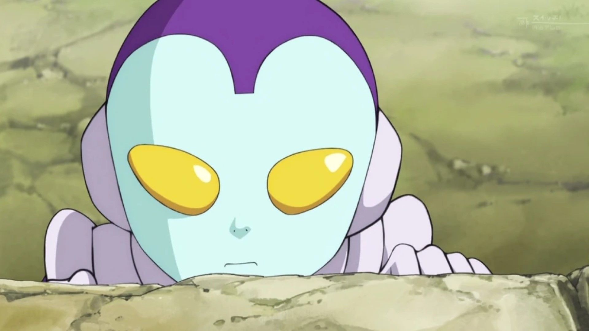 Jaco