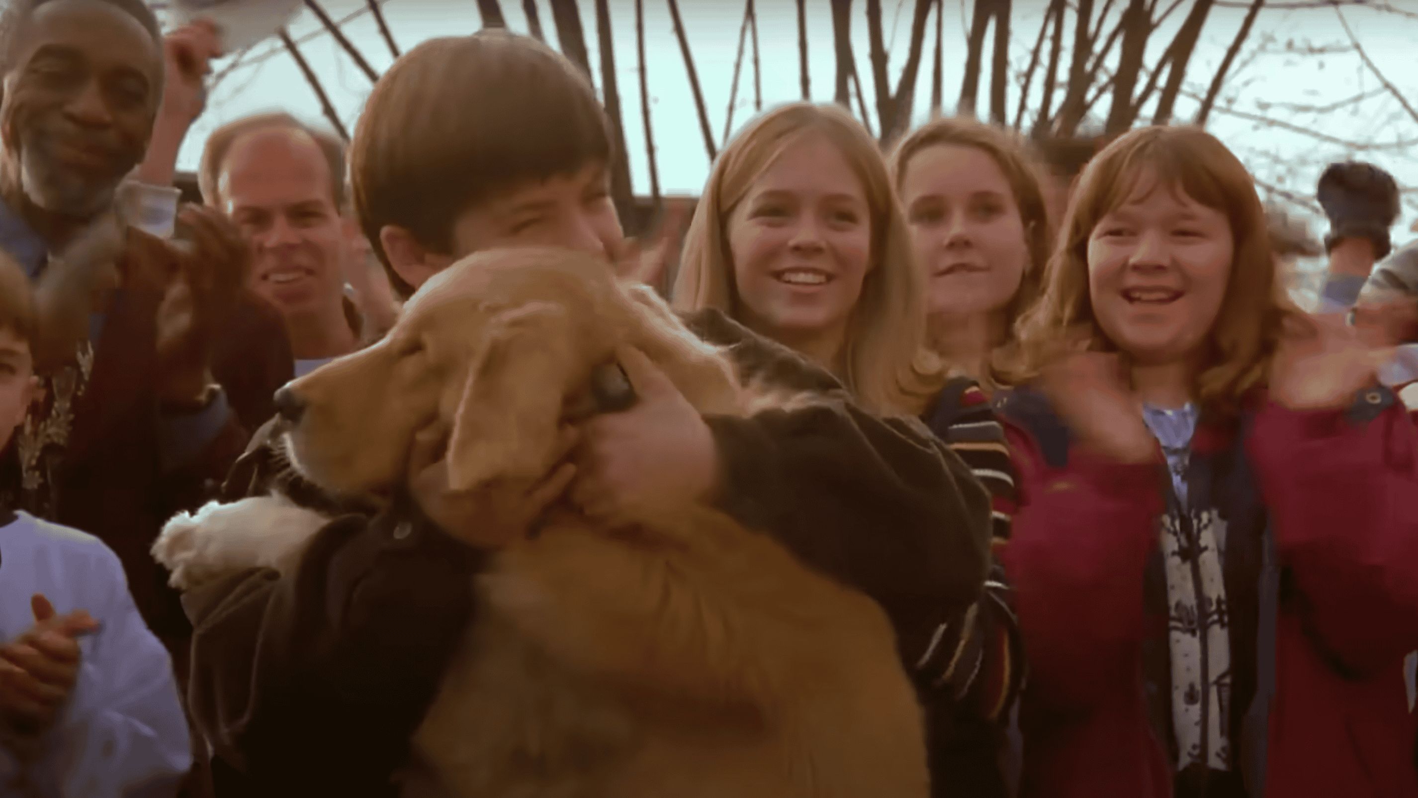 A still from Air Bud 1997 (Image via YouTube/Air Bud TV)