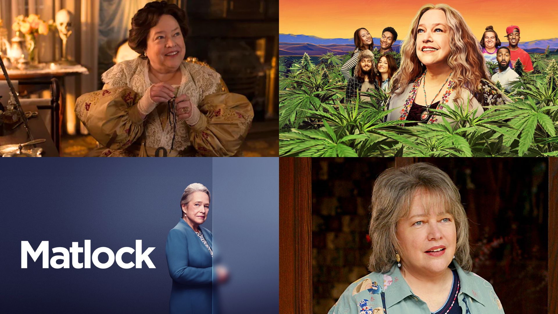 Must Watch Kathy Bates TV shows | Images via Netflix, Prime Video, HBO and FX