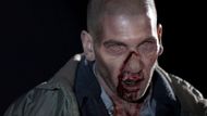 Shane Walsh in The Walking Dead (Image via Netflix)