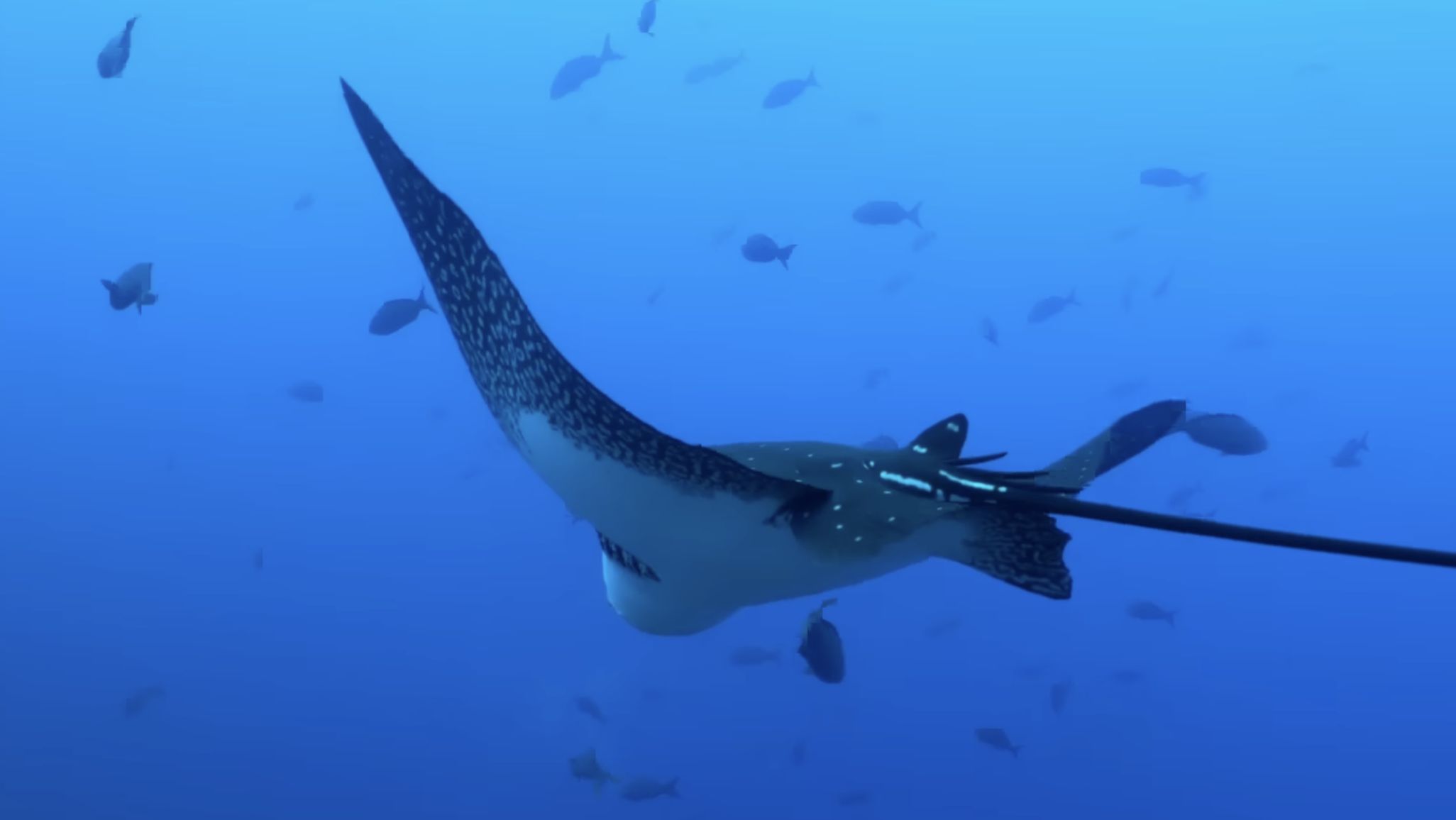 All The Sharks (Image via Netflix)