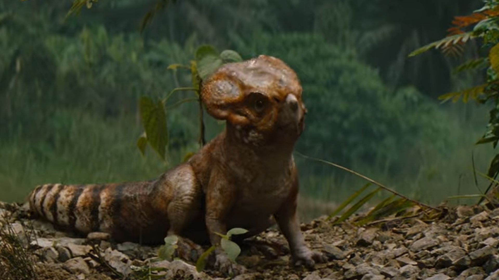 Dolores in Jurassic World Rebirth | Image via Universal Pictures UK