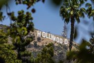 Hollywood sign can be seen through the trees (Image via Getty)