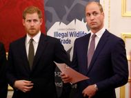 The Duke Of Cambridge Attends The 2018 Illegal Wildlife Trade Conference - (Image via Getty)