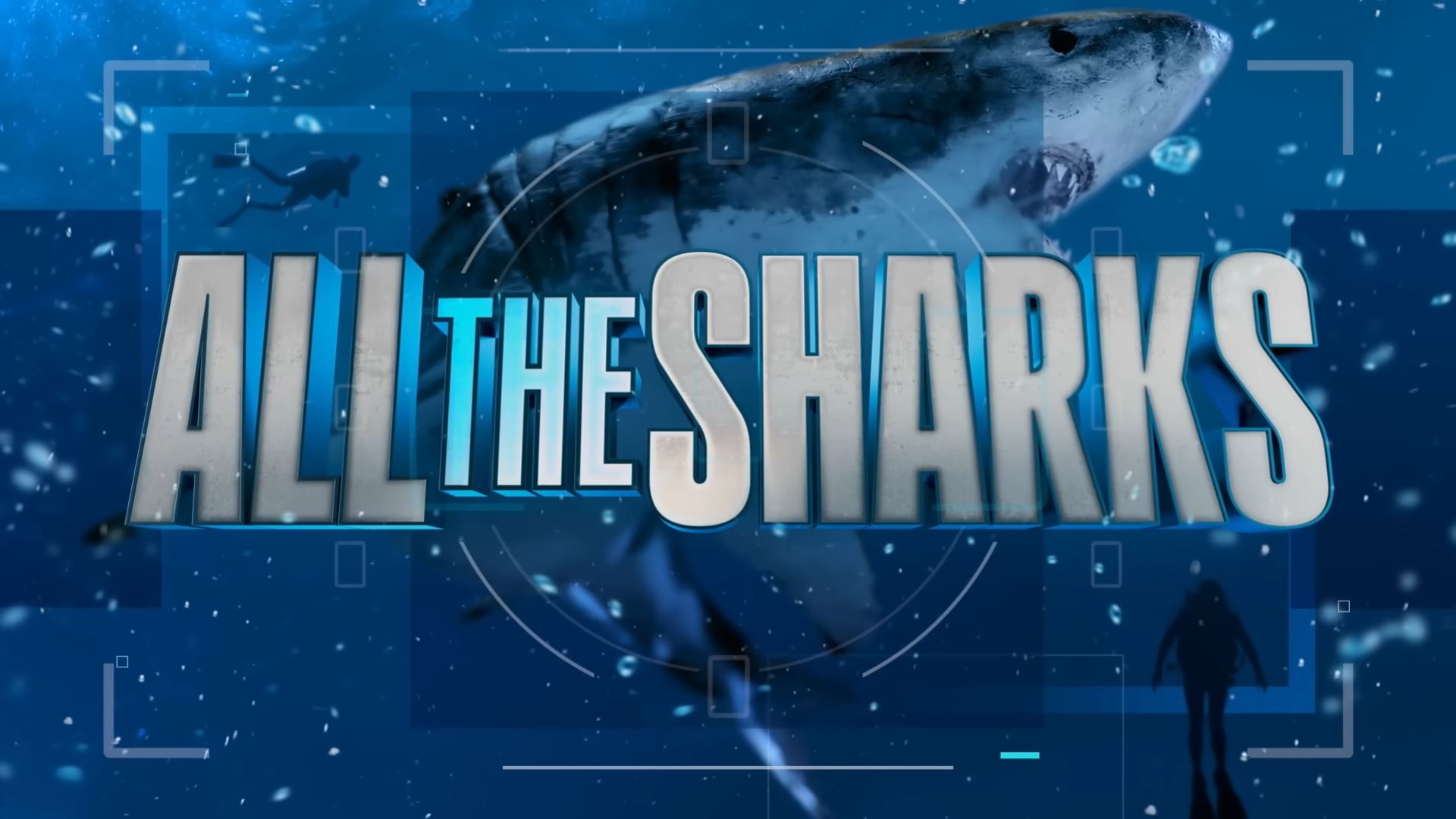 All the Sharks on Netflix (Image via YouTube/ @Netflix)