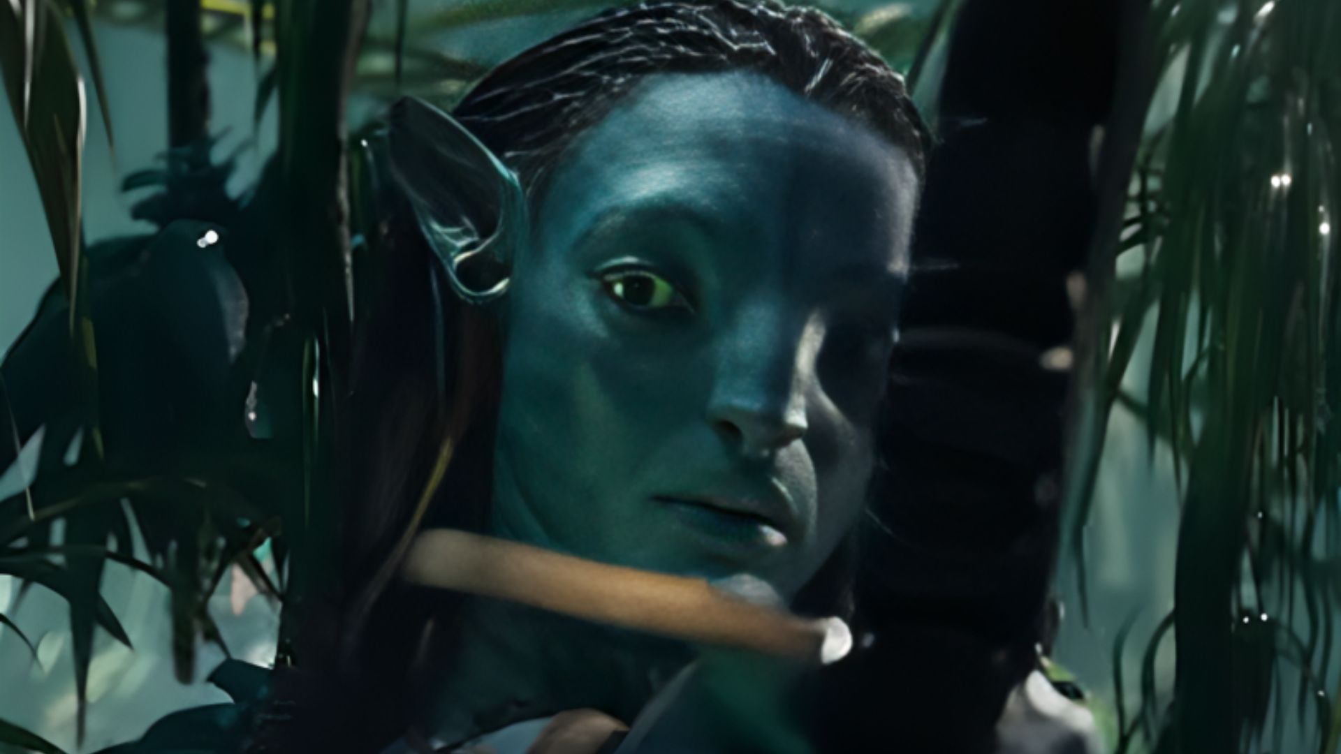 A still from Avatar: The Way of Water | Image via Avatar YouTube