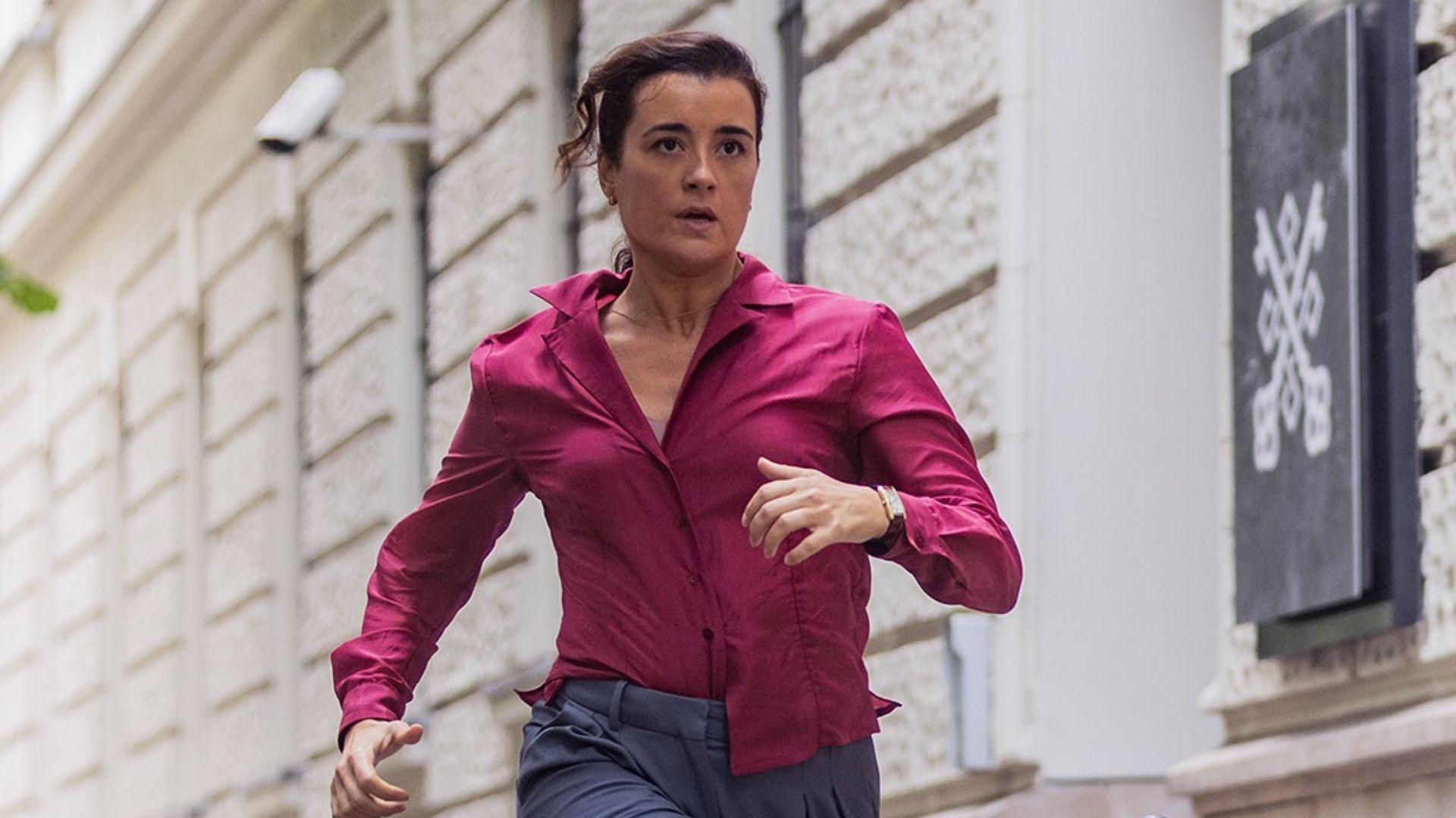 Why did Cote De Pablo leave NCIS? (Image via Instagram/@themichaelweatherly)