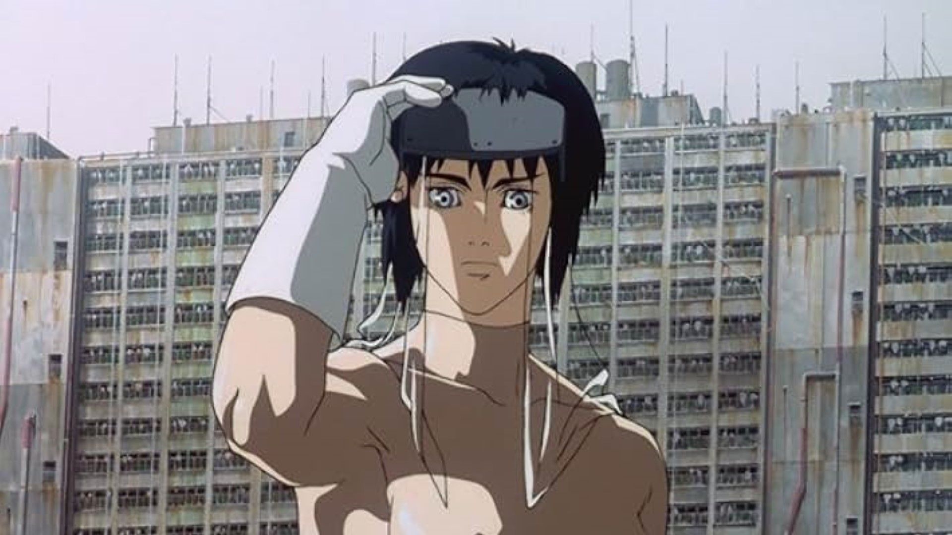 Ghost in the Shell
