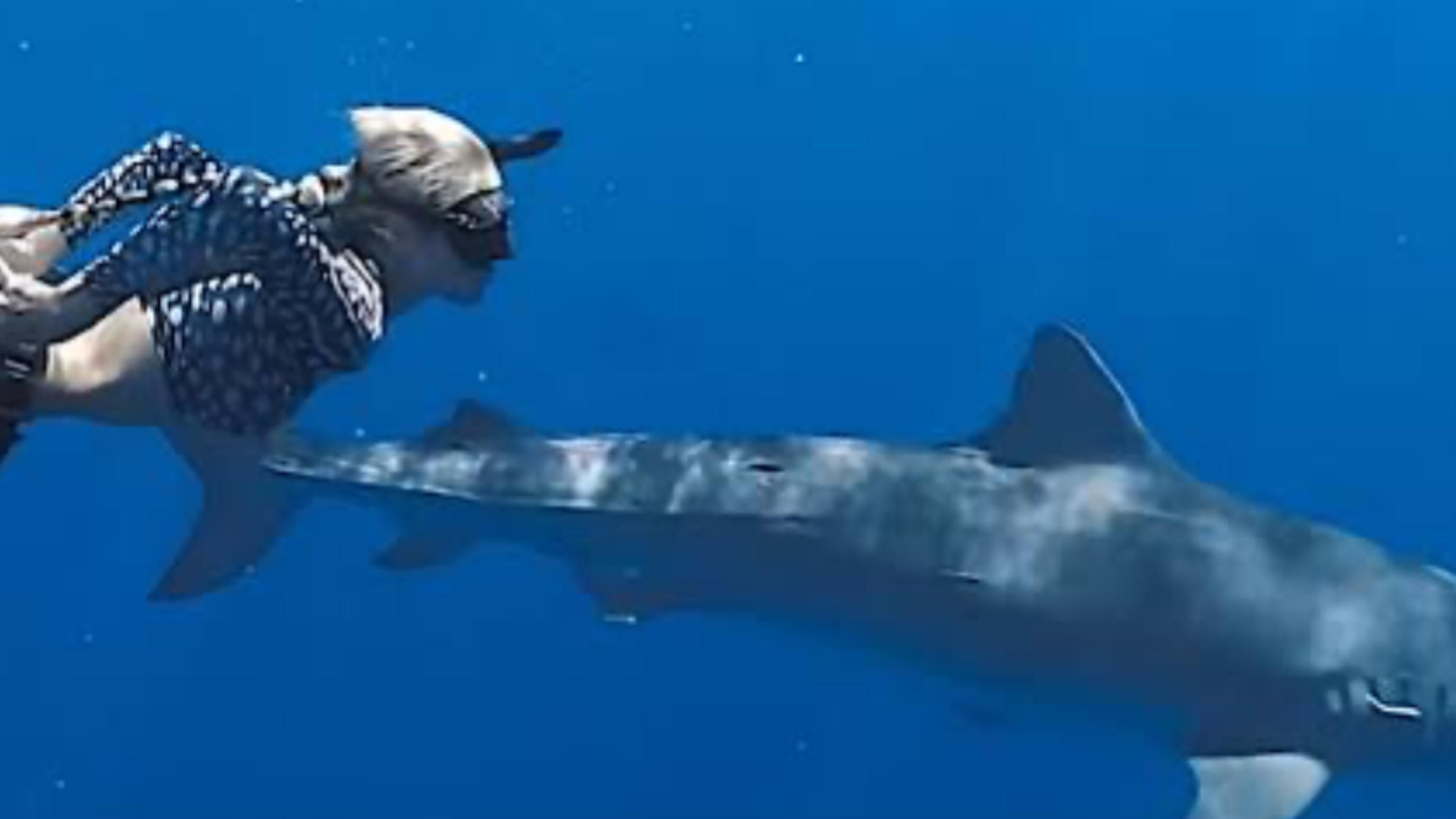 Shark Whisperer (2025) | Image via: ABC News Studios