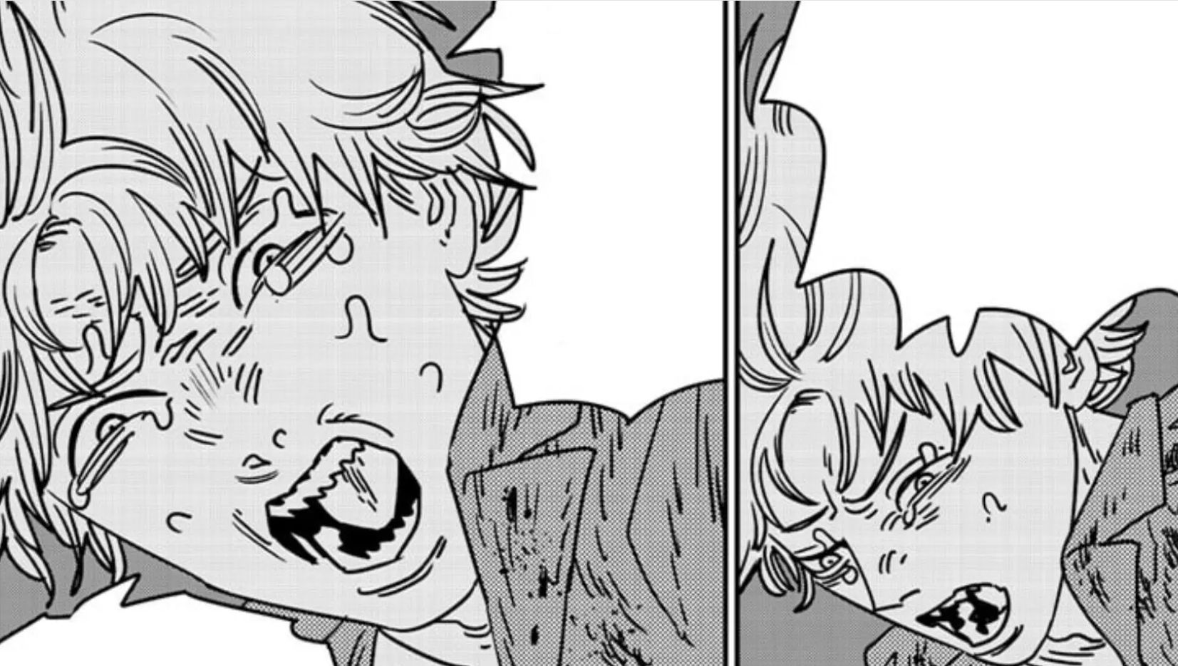 Denji seen in chapter 207