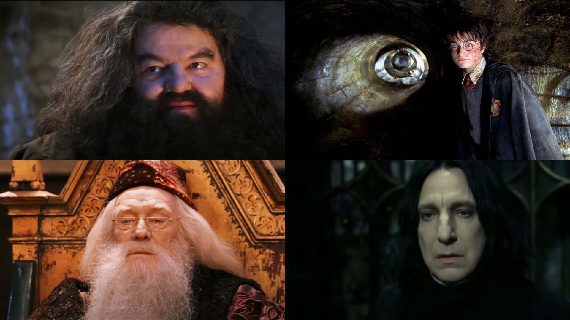 Characters in Harry Potter Films  | Images via Harry Potter, Hotstar and Prime Video