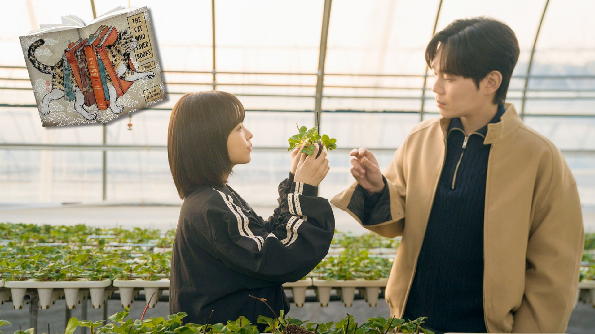 Scene from the healing K-drama Our Unwritten Seoul + cover of the book The Cat Who Saved Books | Images via: Netflix/Amazon | Collage by: Beatrix Kondo of Soap Central
