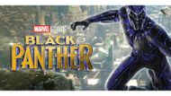 Black Panther (Image via Prime Video)
