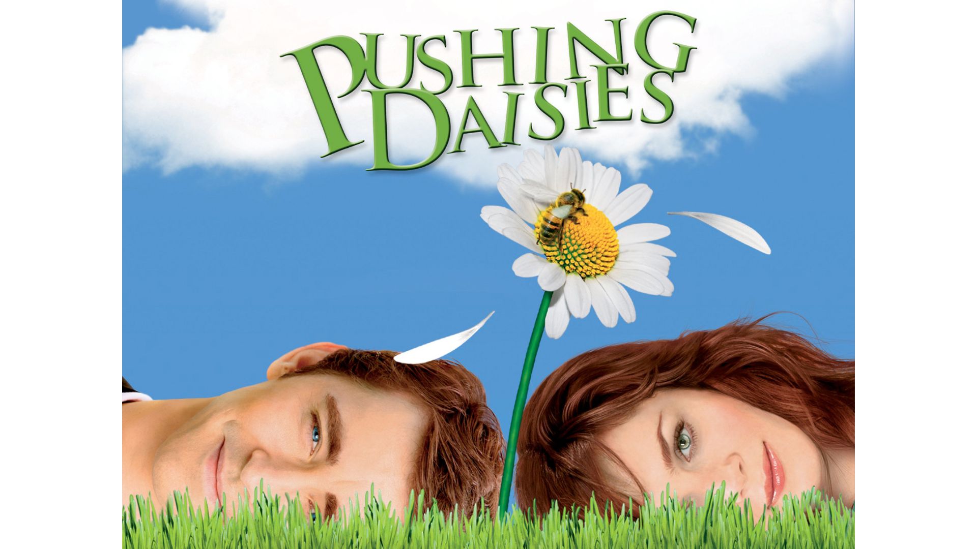 Pushing Daisies (Image source: Prime Video)