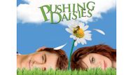 Pushing Daisies (Image source: Prime Video)
