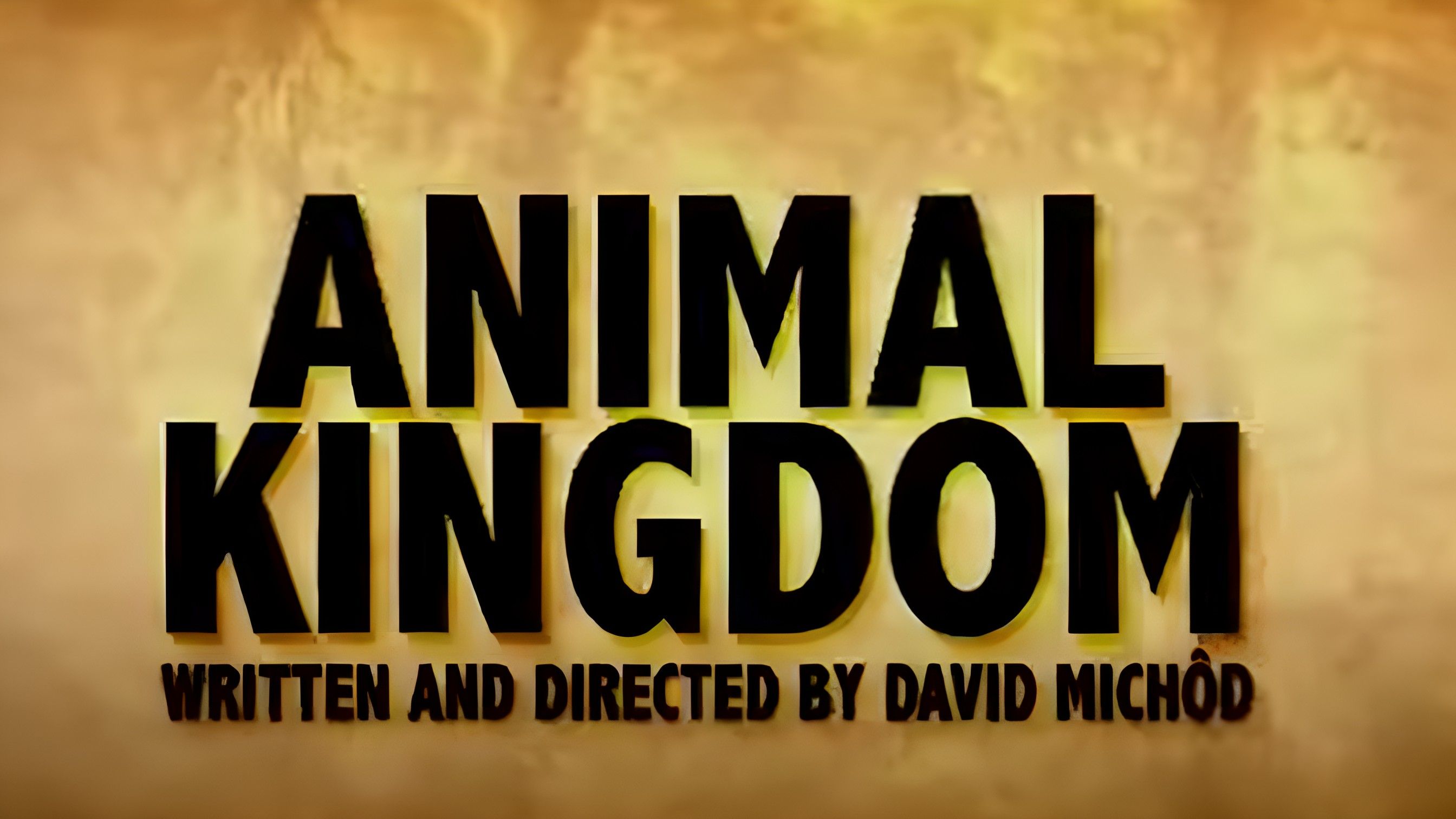 Animal Kingdom ( Image via YouTube /  Sony Pictures Classics )