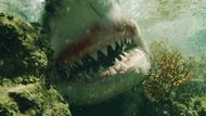 "The First Shark Attack" from The Shallows, Image Source - Columbia Pictures