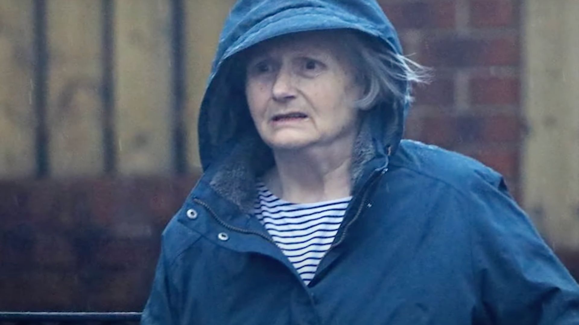 Marian Price (Image via Irish Independent)