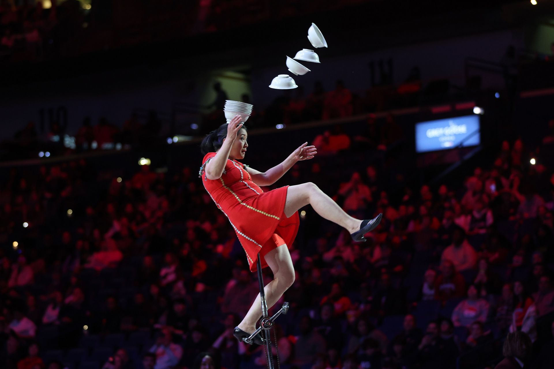 Red Panda (Image via Getty)