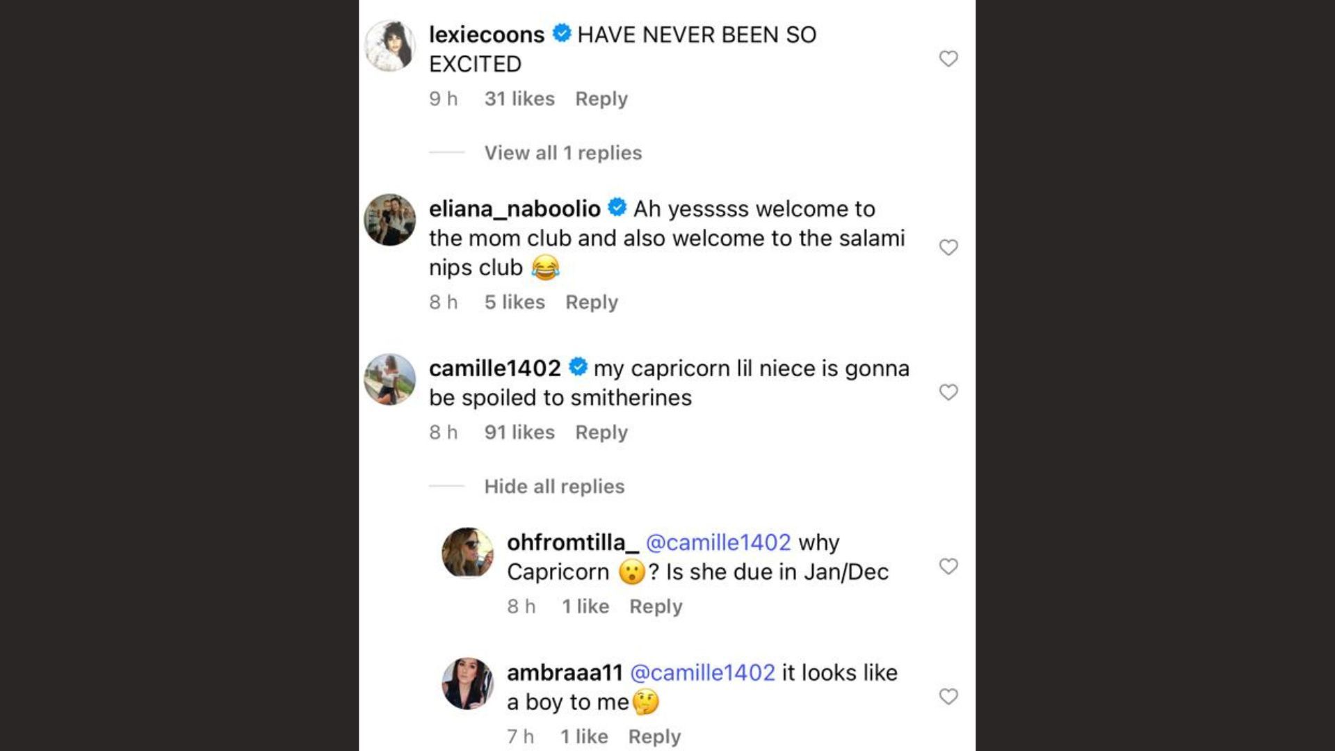 Screenshot of Camille Orders&#039; comment (Image via Instagram/@elsie)