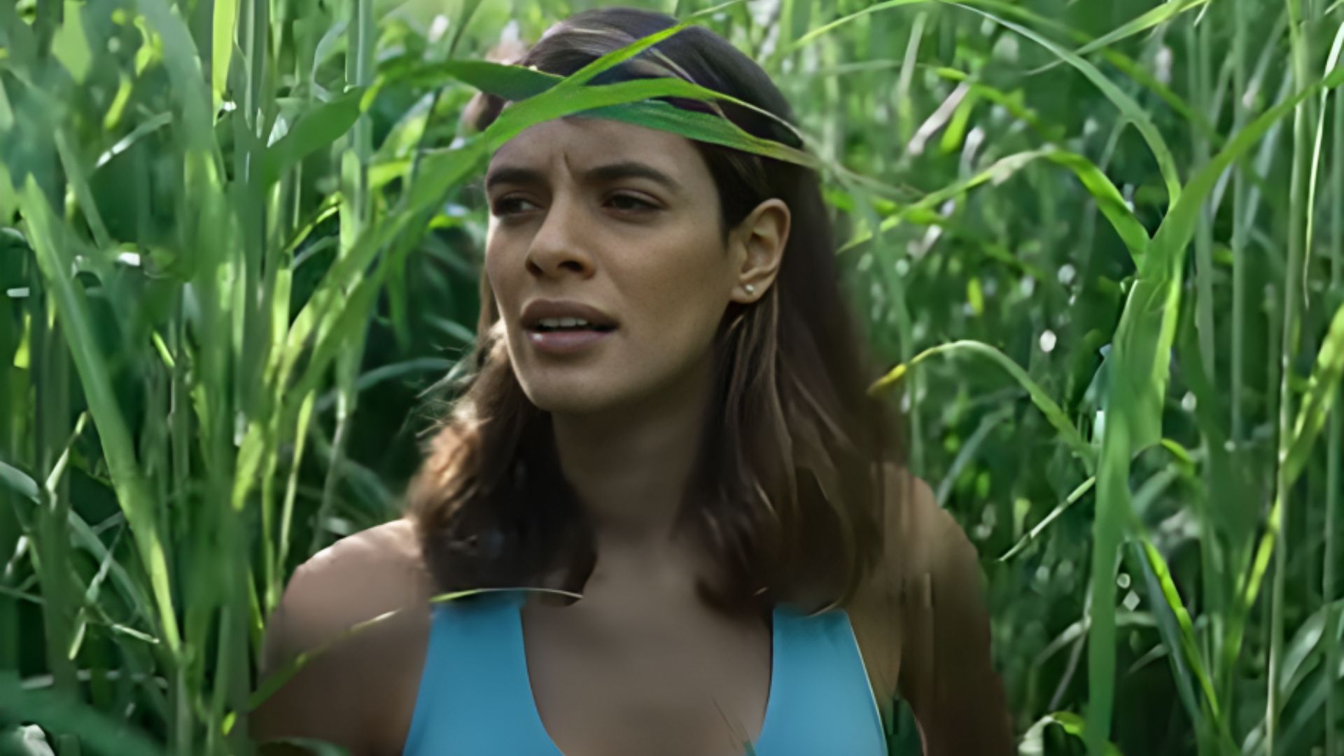 A still from In The Tall Grass | Image via Netflix