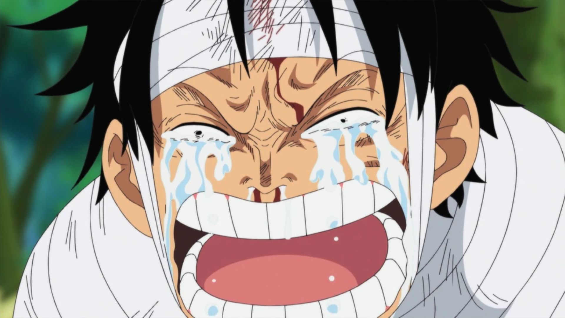 Luffy as seen in the anime 