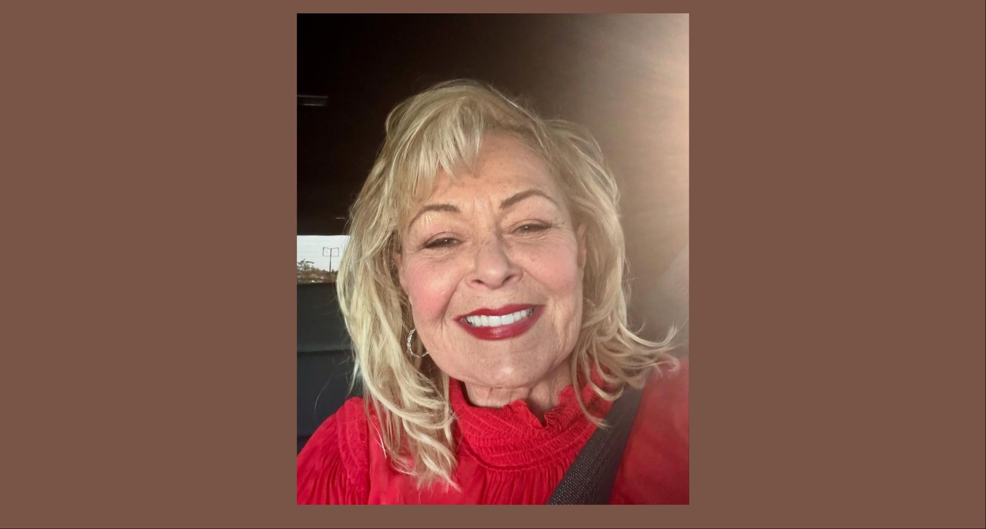 What did Roseanne Barr say about Epstein files? (Image via Instagram Roseanne Barr)