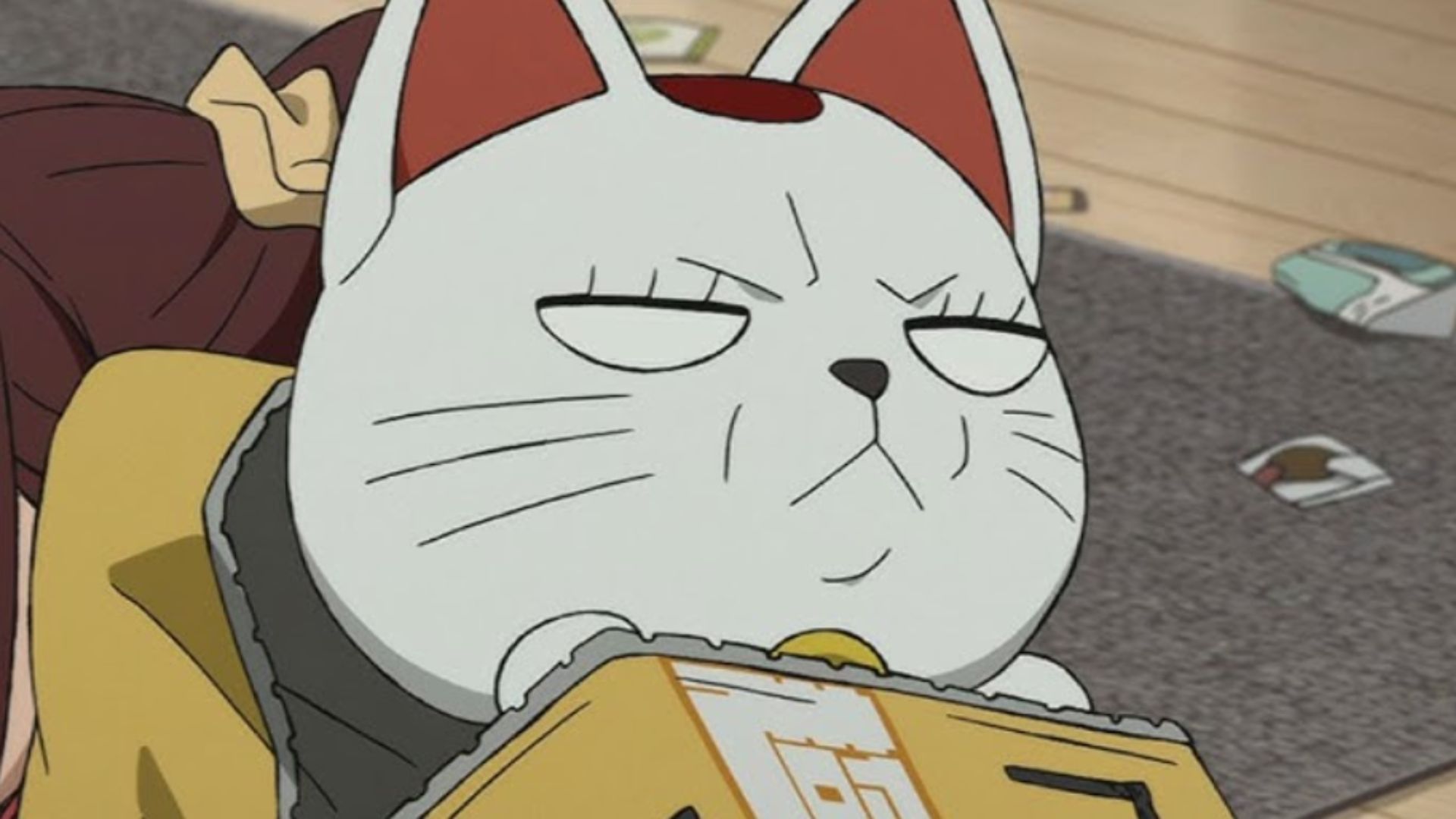 Cat Turbo Granny (Image Credits: Science SARU)