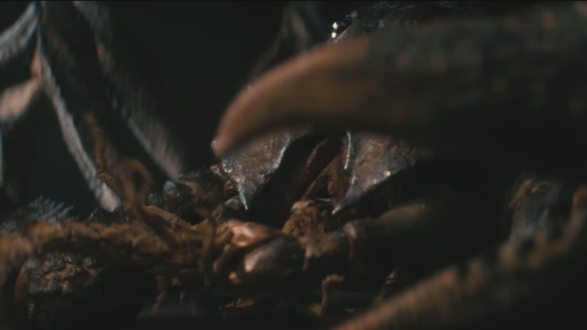Deathclaw (Screenshot from YouTube/@Prime Video)
