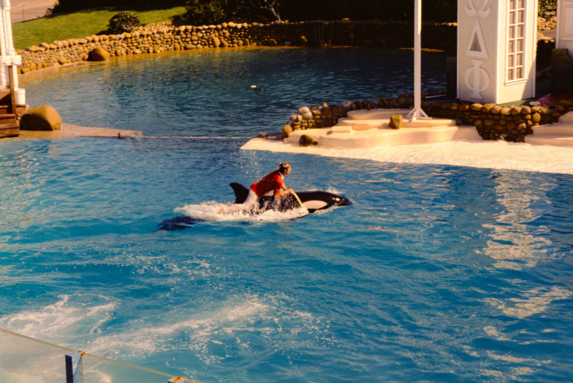 Trainer Riding An Orca - Source: Getty