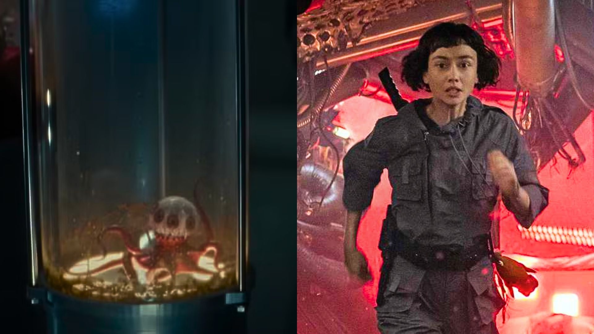 Alien: Earth&rsquo;s Episode 3 reveals the Xenomorph&rsquo;s tadpole stage (Image via Hulu)