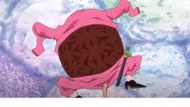Kame Kame no Mi Devil Fruit's ability (Image Source: Toei Animation)