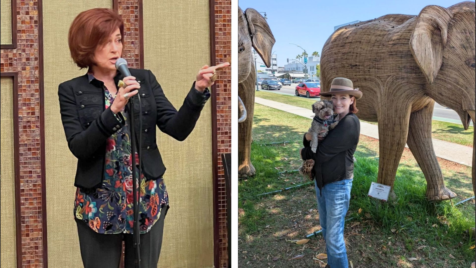 Carolyn Hennesy sings at the General Hospital Fan Club Weekend and poses with her dog, Bela Lugosi | Image: Instagram