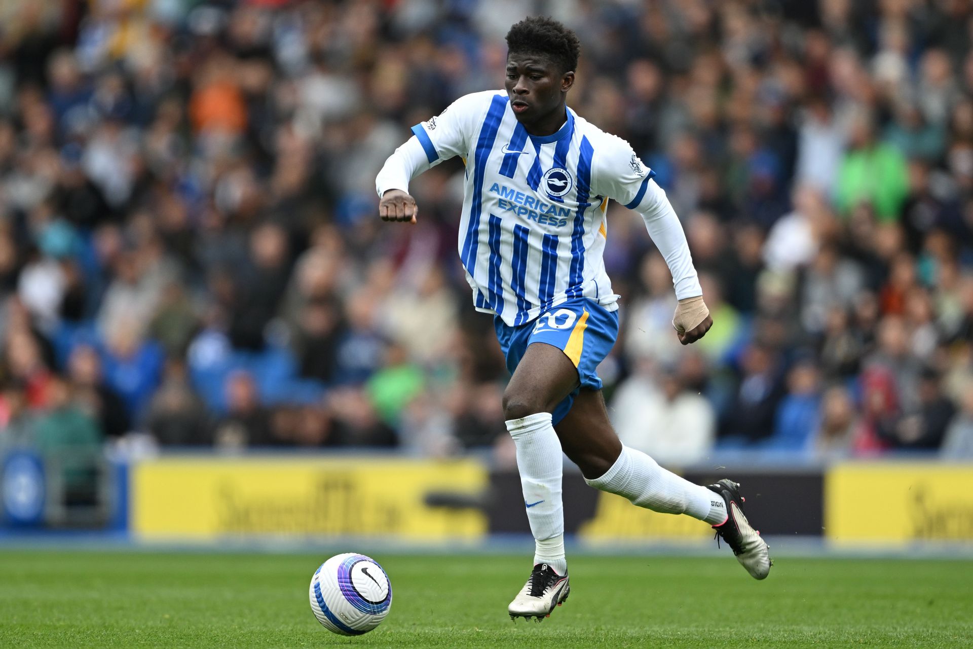 Brighton &amp; Hove Albion FC v Newcastle United FC - Premier League - Source: Getty