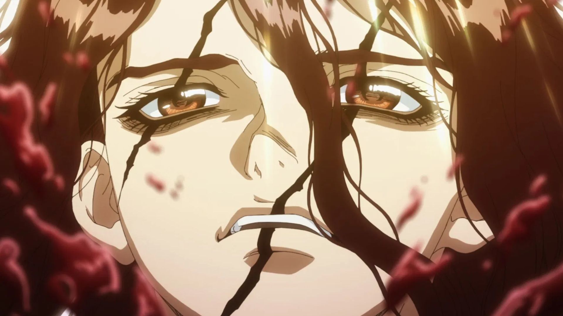 Visual from the anime