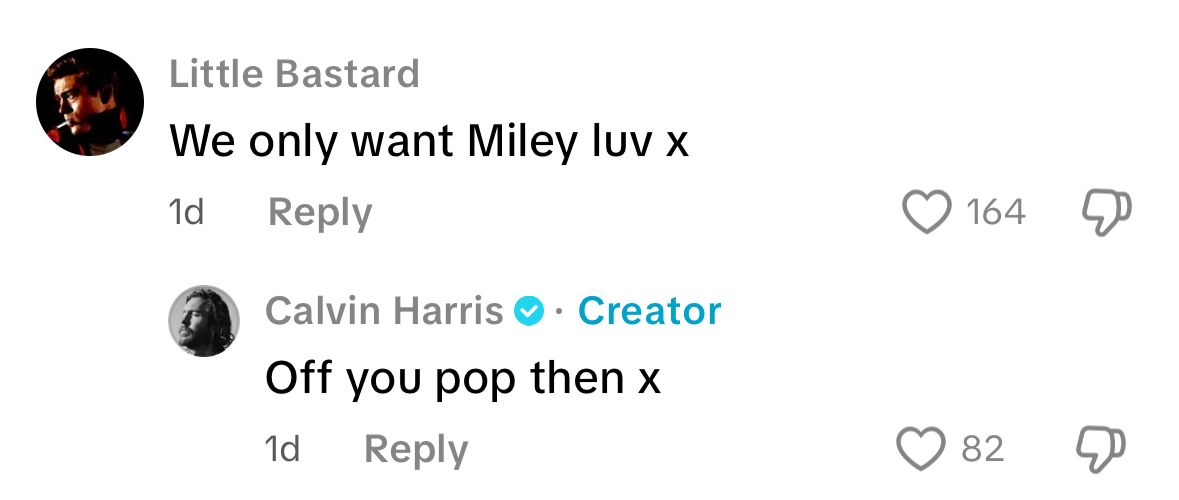 (Image via TikTok/@calvinharris)